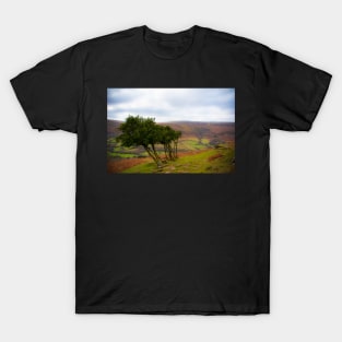 Vale of Ewyas T-Shirt